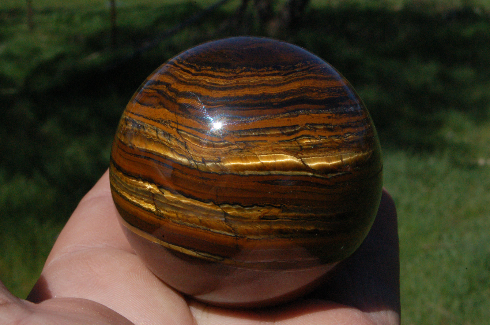 64mm Tiger's Eye Sphere Crystal Ball Display Specimen with stand